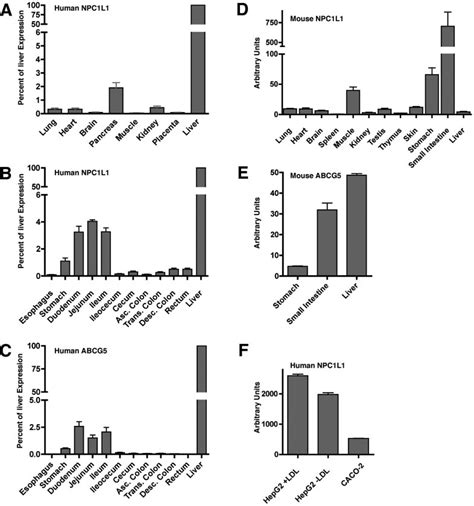 Tissue Distribution Of Human And Mouse Npc1l1 Relative Quantitation Download Scientific