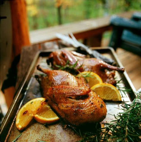 The Best Grilled Duck Recipes – Home, Family, Style and Art Ideas