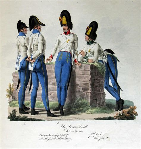Hungarian grenadiers | Austrian empire, Napoleonic wars, Kursk