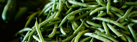 33 tipů na zlepšení erekce pomocí stravy vybíráme potraviny pro lepší sex Erekce Guru