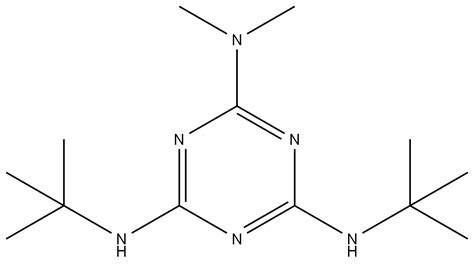 N 4 N 6 Di Tert Butyl N 2 N 2 Dimethyl 1 3 5 Triazine 2 4 6