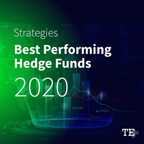 Strategies of the Best Performing Hedge Funds of 2020 – Trading Enigma