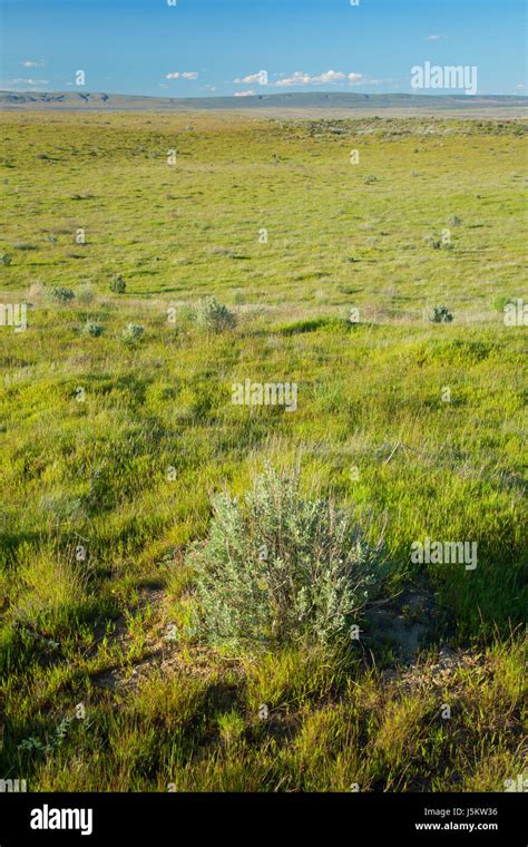 Hanford reach national monument: hi-res stock photography and images ...