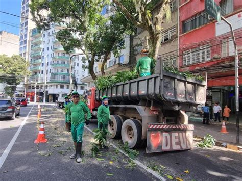 Prefeitura de Belém intensifica o serviço de poda das árvores da cidade