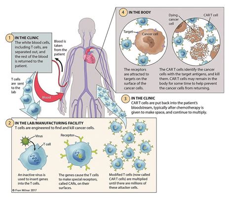 CAR-T Cell Therapy System