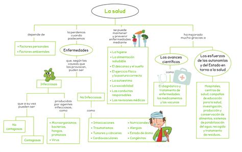 Sistema Digestivo Interactive Worksheet For Cuarto De Primaria