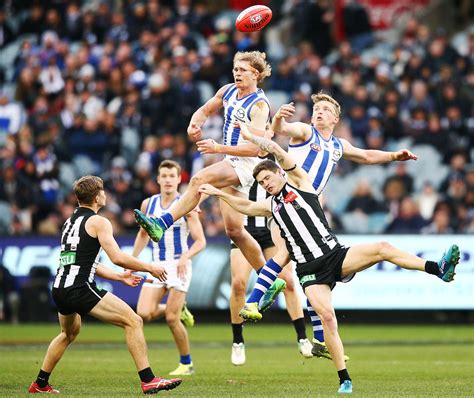 Match Preview Collingwood V North Melbourne Au