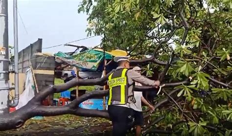 Bpbd Catat Rumah Rusak Ringan Akibat Hujan Deras Disertai Angin