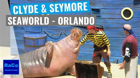 Seaworld Orlando 2014 Clyde And Seamores Sea Lion High Show Youtube