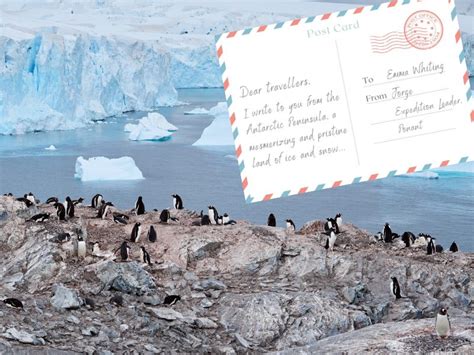 Postcards From Antarctica Emma Whiting Travel