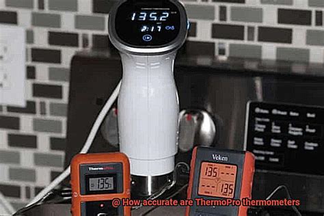 How Accurate Are Thermopro Thermometers Pastime Bar And Grill