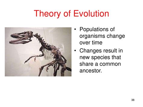 Introduction To Zoology Ppt Download