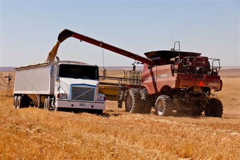 Springtime Refresher How USW Keeps U S Wheat Producers Customers