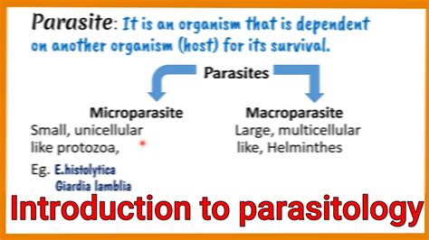 Introduction To Parasitology Classification Laboratory Diagnosis Of Parasite Youtube