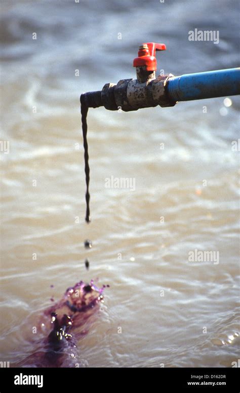 Inquinamento Delle Acque Causato Dalla Raffineria Di Petrolio Nel Lago