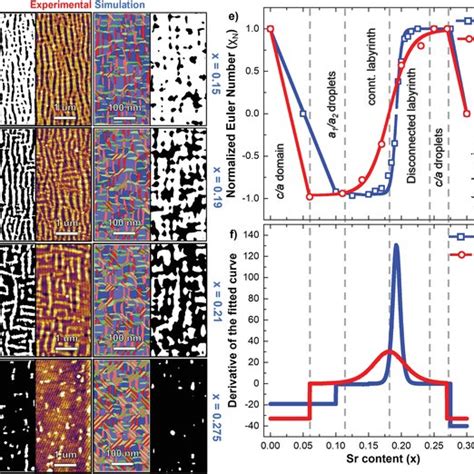 A D From Left To Right A Binarized Image Used For Analysis Based On Download Scientific