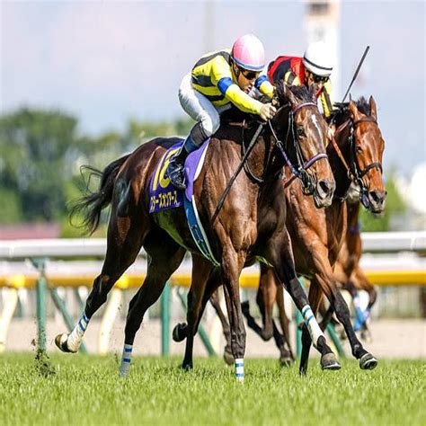 【有馬記念出走馬・騎手確定】スターズオンアース＆cルメール騎手、タスティエーラ＆rムーア騎手など16頭 2023年12月21日掲載