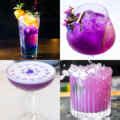 Purple Cocktails Vibrant Flavorful Purple Hued Drinks