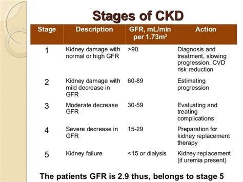 Stage 3 Kidney Disease Diet - All You Need Infos