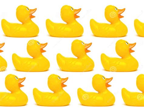 Group A Yellow Rubber Ducks On A White Background Stock Photo Image