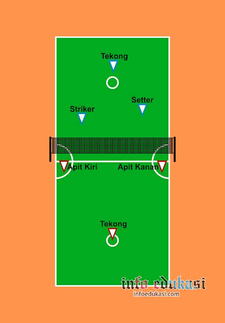Contoh Gambar Nama Posisi Pemain Sepak Takraw Dan Tugasnya Info Edukasi