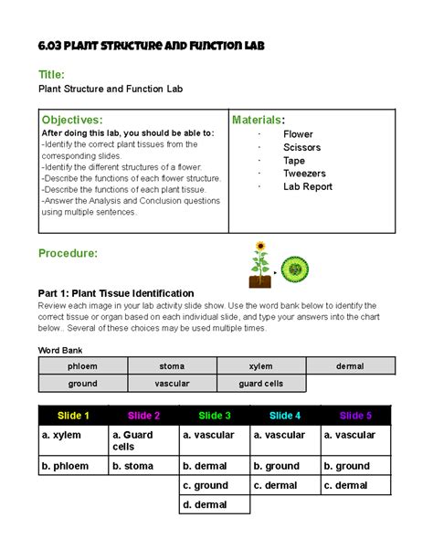 Plant Structure And Function Workbook Answers Key 3