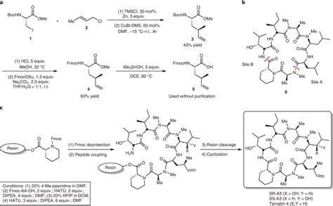 Expeditious synthesis of dhML, ternatin-4 and A3 epimers a, Scheme for... | Download Scientific ...