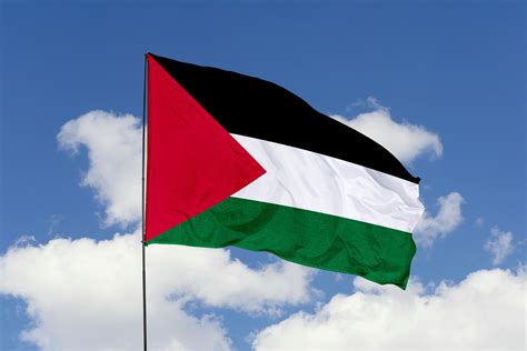 British Muslim Organisations Scholars Activists Defend Palestinian