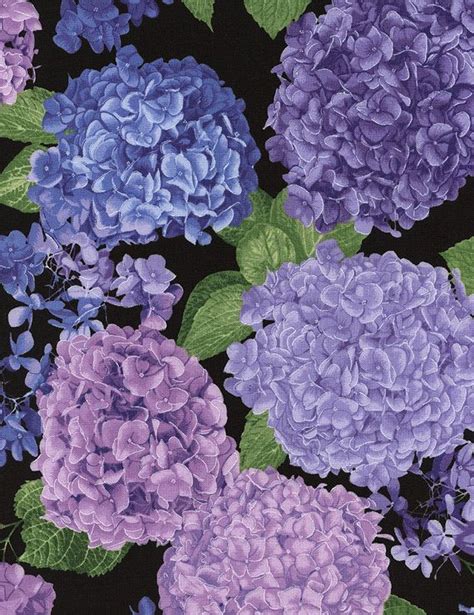 Crafts Timeless Treasures Hydrangea Panel 100 Cotton Fabric By The