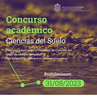 Concurso Internacional Para Profesor A Asistente O Asociado A Para