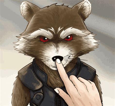 Rocket Raccoon  Rocket Raccoon Discover And Share S