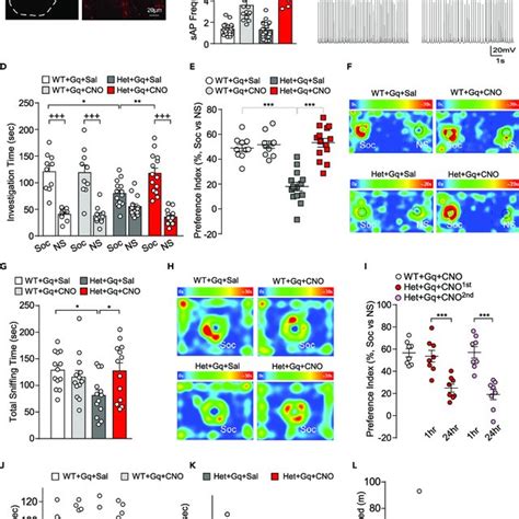 Chemogenetic Activation Of Pyramidal Neurons In PFC Ameliorates Social