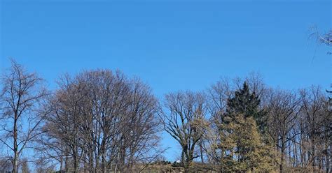 Arboretum Wojsławice jeden z najpiękniejszych ogrodów na Dolnym Śląsk