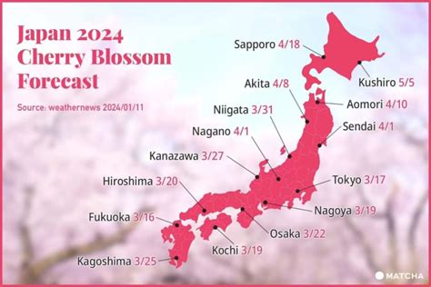 Cherry Blossoms In Japan Forecast And Best Spots Matcha Japan