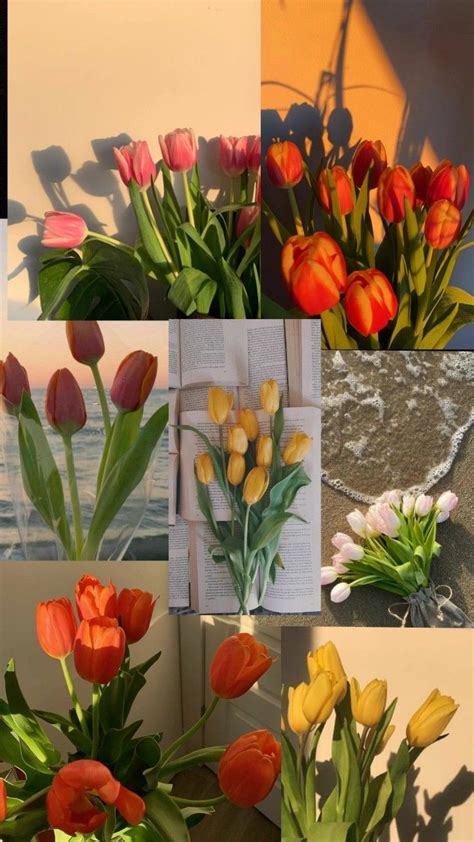 Fondo De Pantalla Tulipanes🌷 Flower Aesthetic Boquette Flowers Beautiful Flowers Pictures