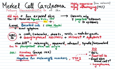 Merkel cell carcinoma – Pathonotes