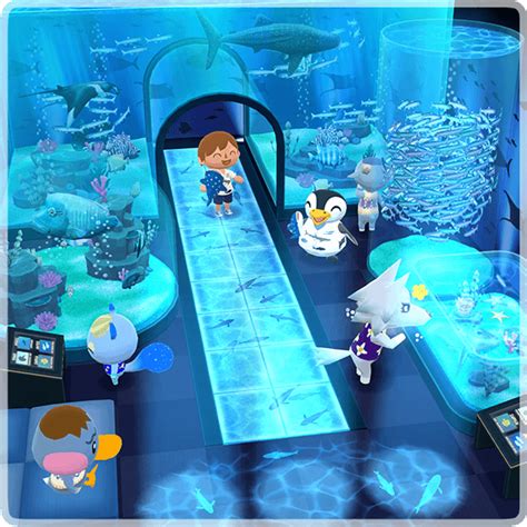 Aquariumsbesuch Pocket Camp Animal Crossing Wiki