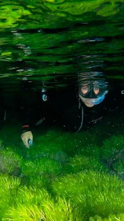 Kayak Transparente Y Snorkel Nocturno Las Palmas RocRoi