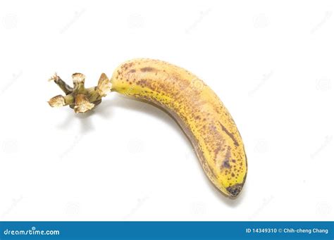 The Last One Banana Stock Photo Image Of Single Yellow 14349310