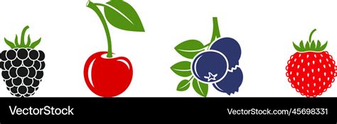 Berry Royalty Free Vector Image Vectorstock