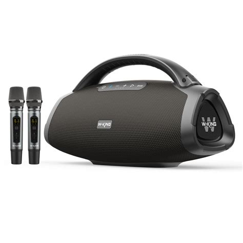 D20- W-KING 200W RMS Speaker with Two Microphones – wkingspeaker