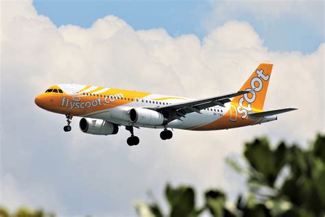 Scoot Airlines Fleet Airbus A Details And Pictures