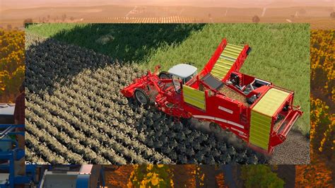 Farming Simulator 22 The Guide To Potatoes Sugar Beets And Cotton