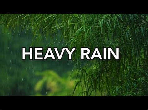 Heavy Rain Sounds For Sleeping Natural Rain Sound For Sleep Thunder And