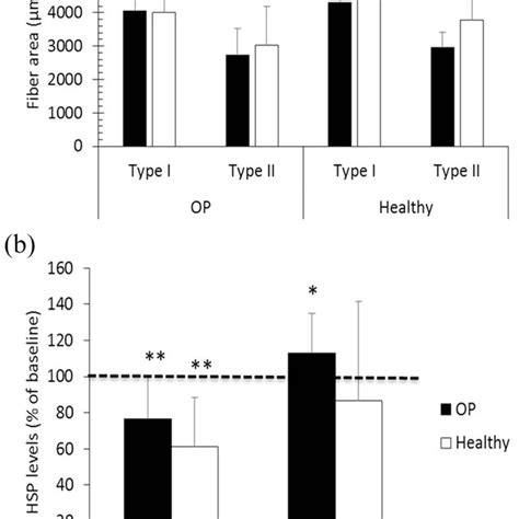 Muscle Fibre Area And Protein Expression Levels A Muscle Fibre