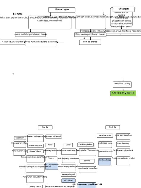 Woc Osteomielitis Pdf