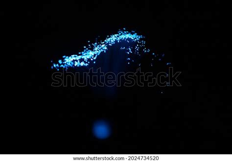 Float Lines Over 38 236 Royalty Free Licensable Stock Photos