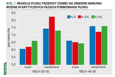 Makroelementy w nawożeniu zbóż W jakich fazach i w jakich dawkach