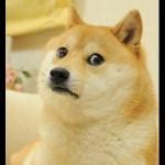 Sad Doge Meme Generator - Imgflip