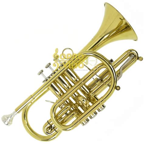 Sopro Divino Musical Trompete Cornet Sib Laqueado Michael WCORM45N C